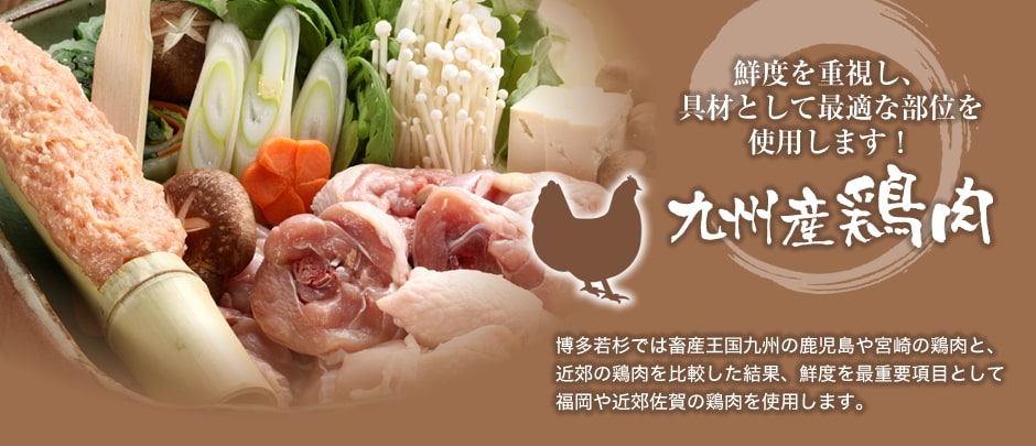 九州産鶏肉